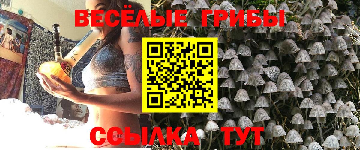 Псилоцибиновые грибы GOLDEN TEACHER  Вход с VPN  Шатура 