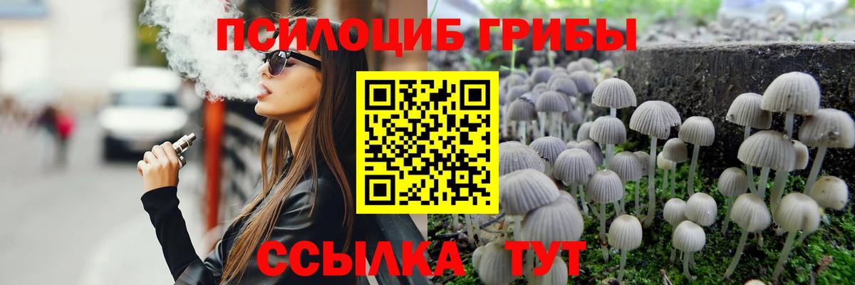 Псилоцибиновые грибы мицелий Шатура
